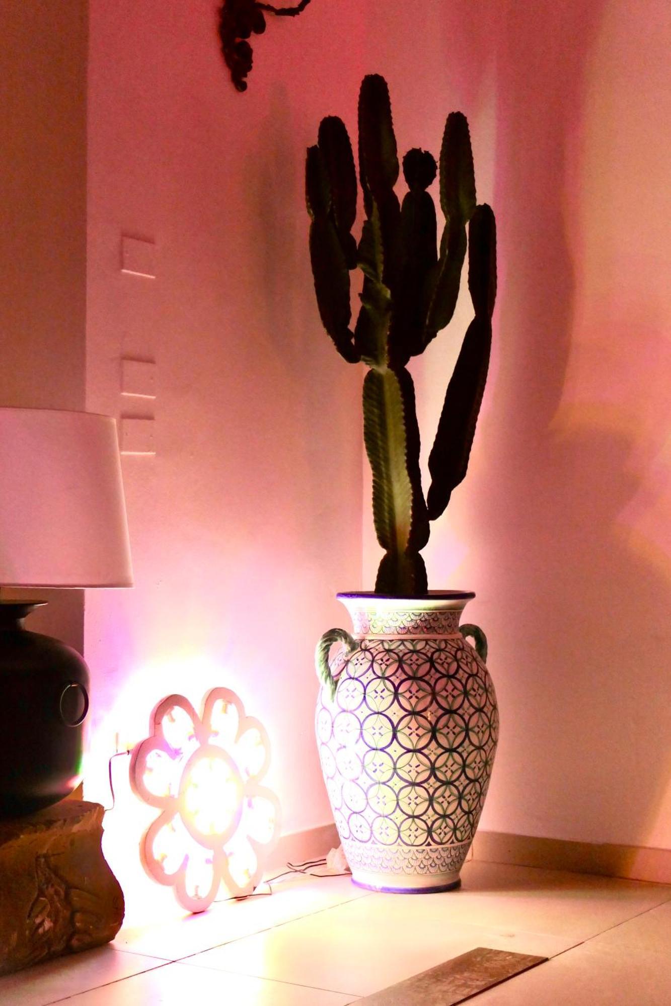 Palazzo Cavour Bed & Breakfast Lecce